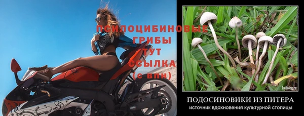 тгк Покров