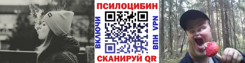 Псилоцибиновые грибы GOLDEN TEACHER  Нижний Ломов 